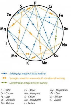 Mineral Interactie